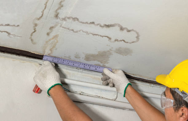 Affordable Water Damage Repair solutions in Prosperity, WV